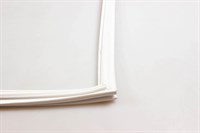 Dichtung, Asko Kühl- & Gefrierschrank - 1720 mm x 565 mm